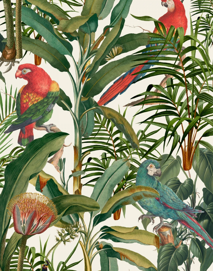 Parrots of Brasil