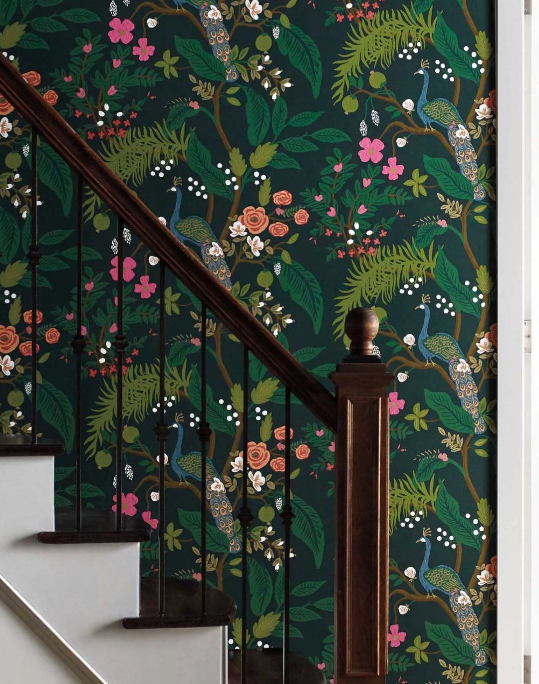 Peacock, Black RI5170
