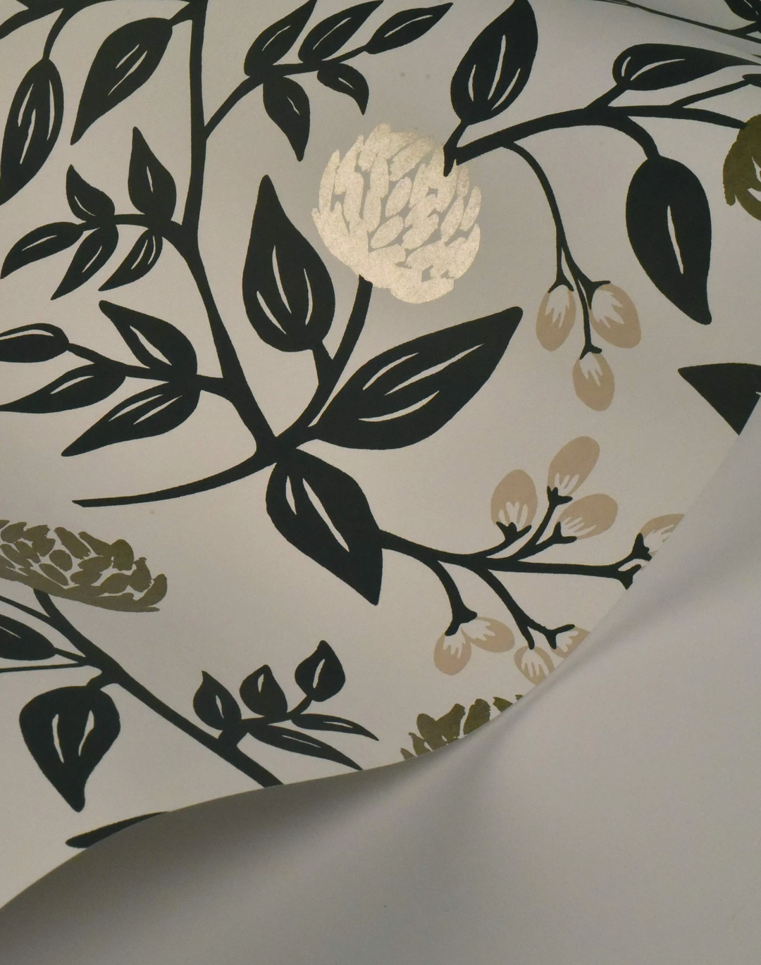 Peonies, White and Black RI5150