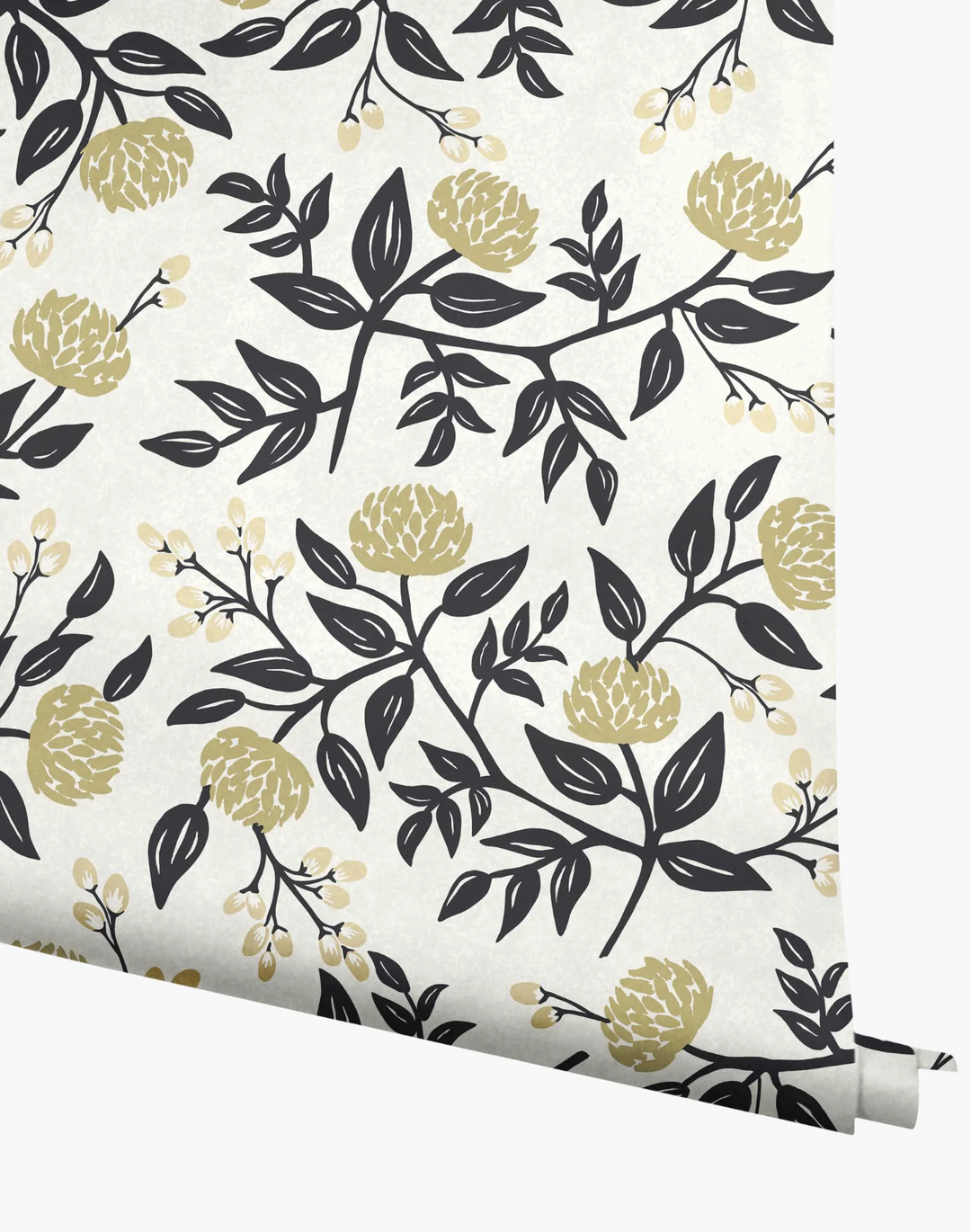 Peonies, White and Black RI5150
