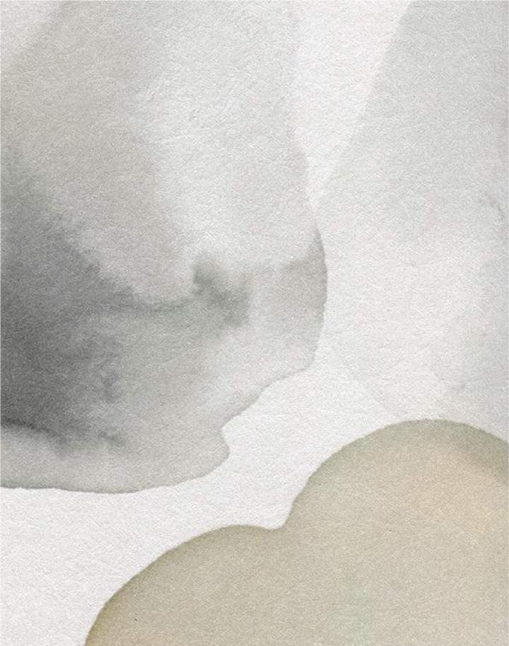 Petals Pressed, Sage