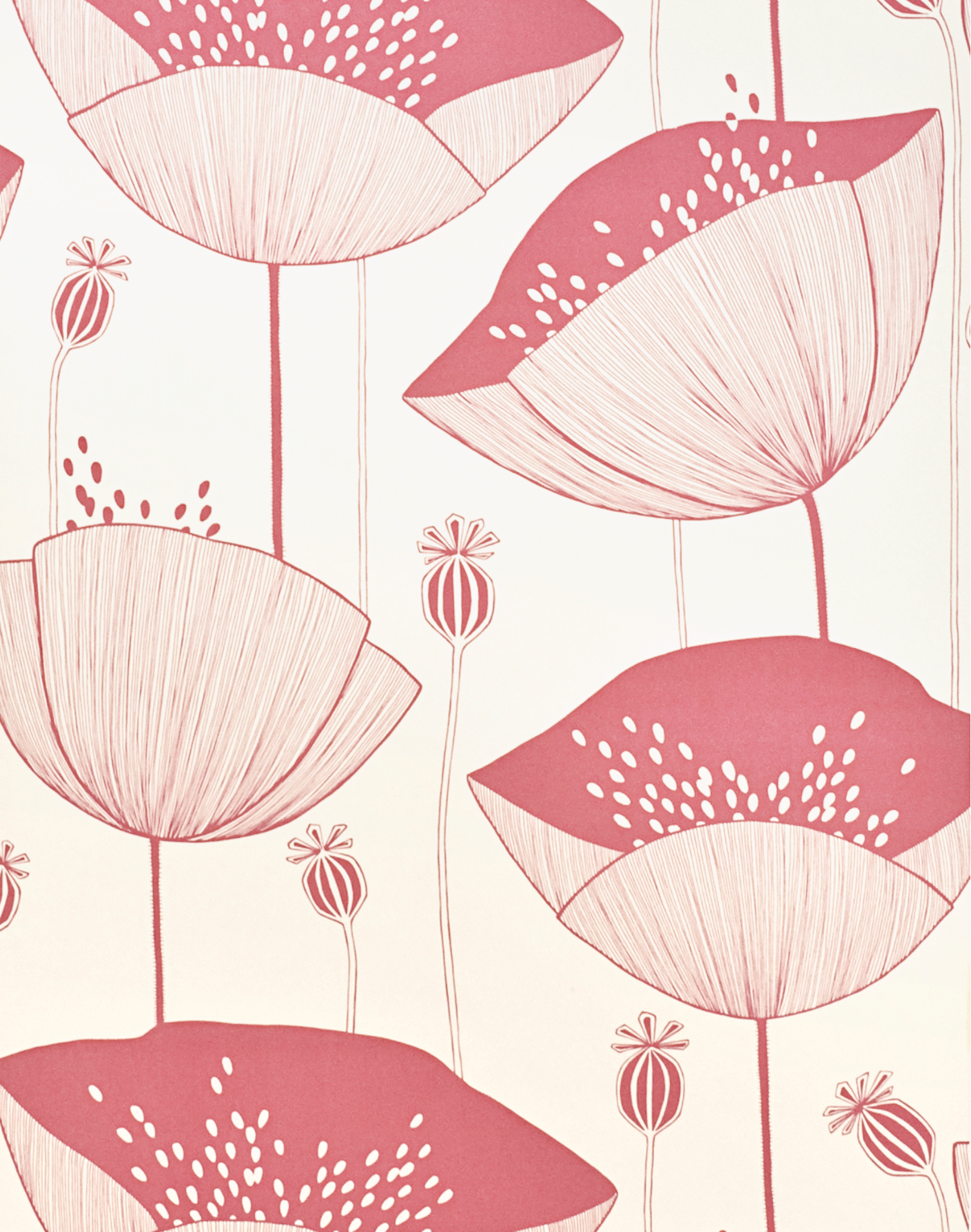 Blush Pink Floral Background Texture Graphic by Peppy Poppy Panda ·  Creative Fabrica