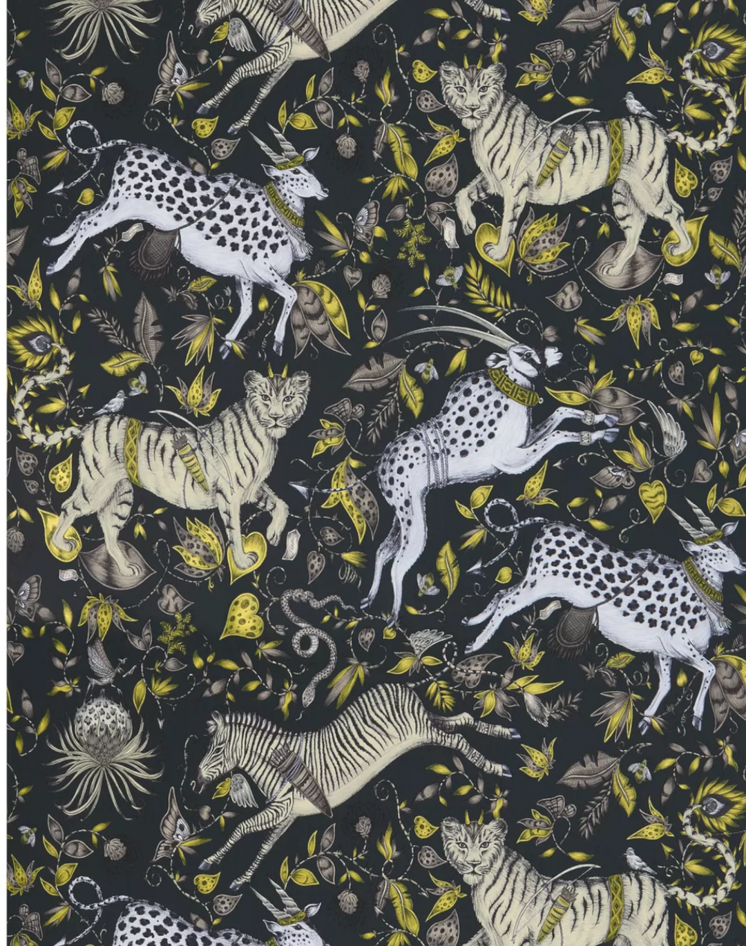 Protea Charcoal W0119-02