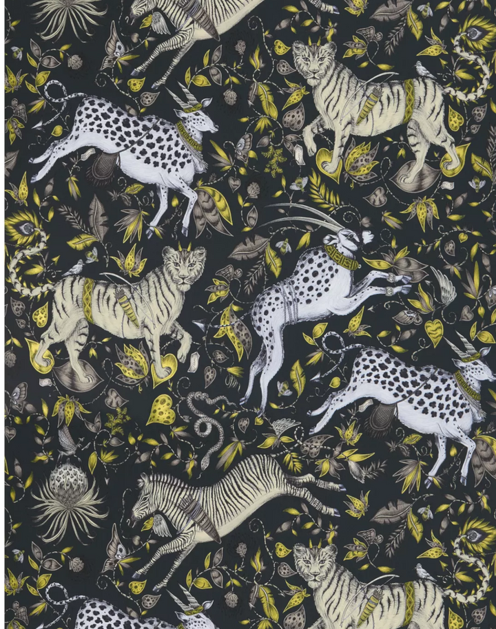 Protea Charcoal W0119-02