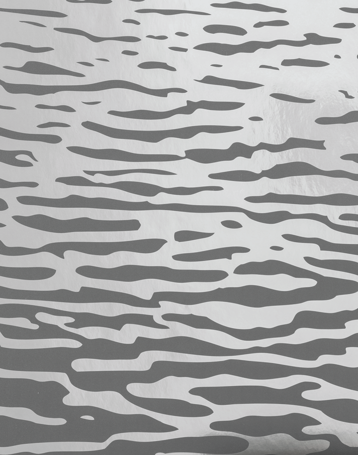 Reflection, Silver