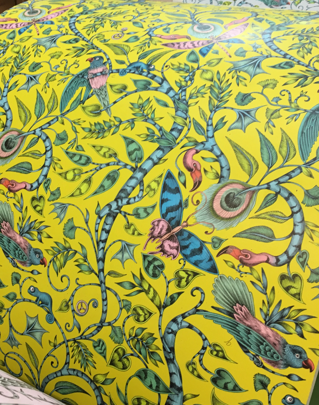 Rousseau, Lime W0104-04