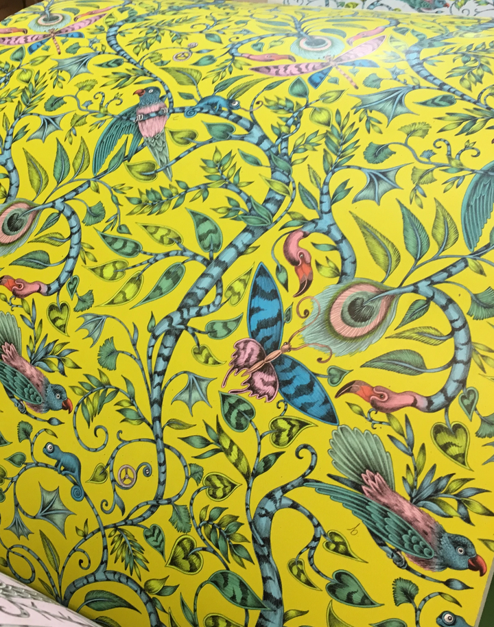 Rousseau, Lime W0104-04