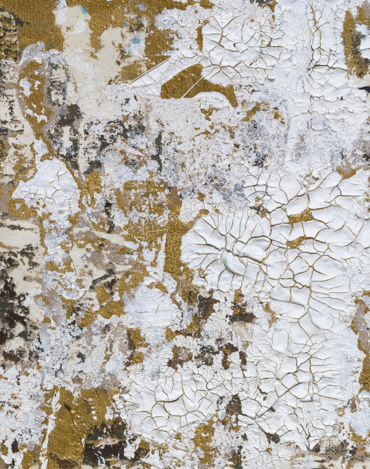 Safari, Gold