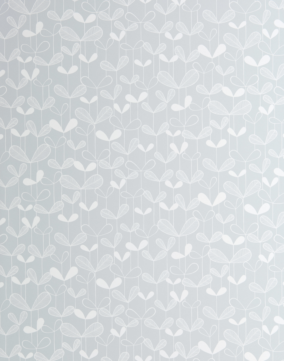 Saplings, Cloud Grey