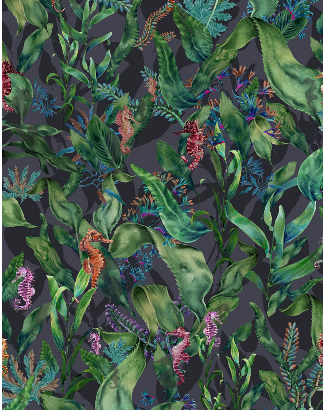 SEAHORSE MANGROVE NOIR