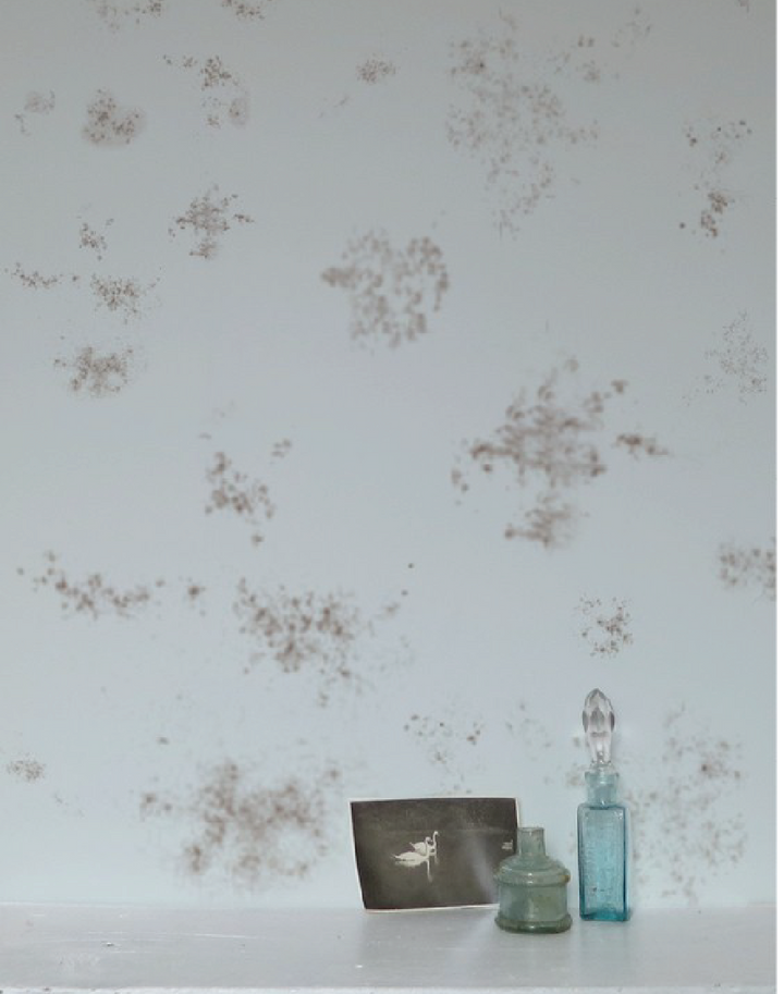 Smudges in Mint