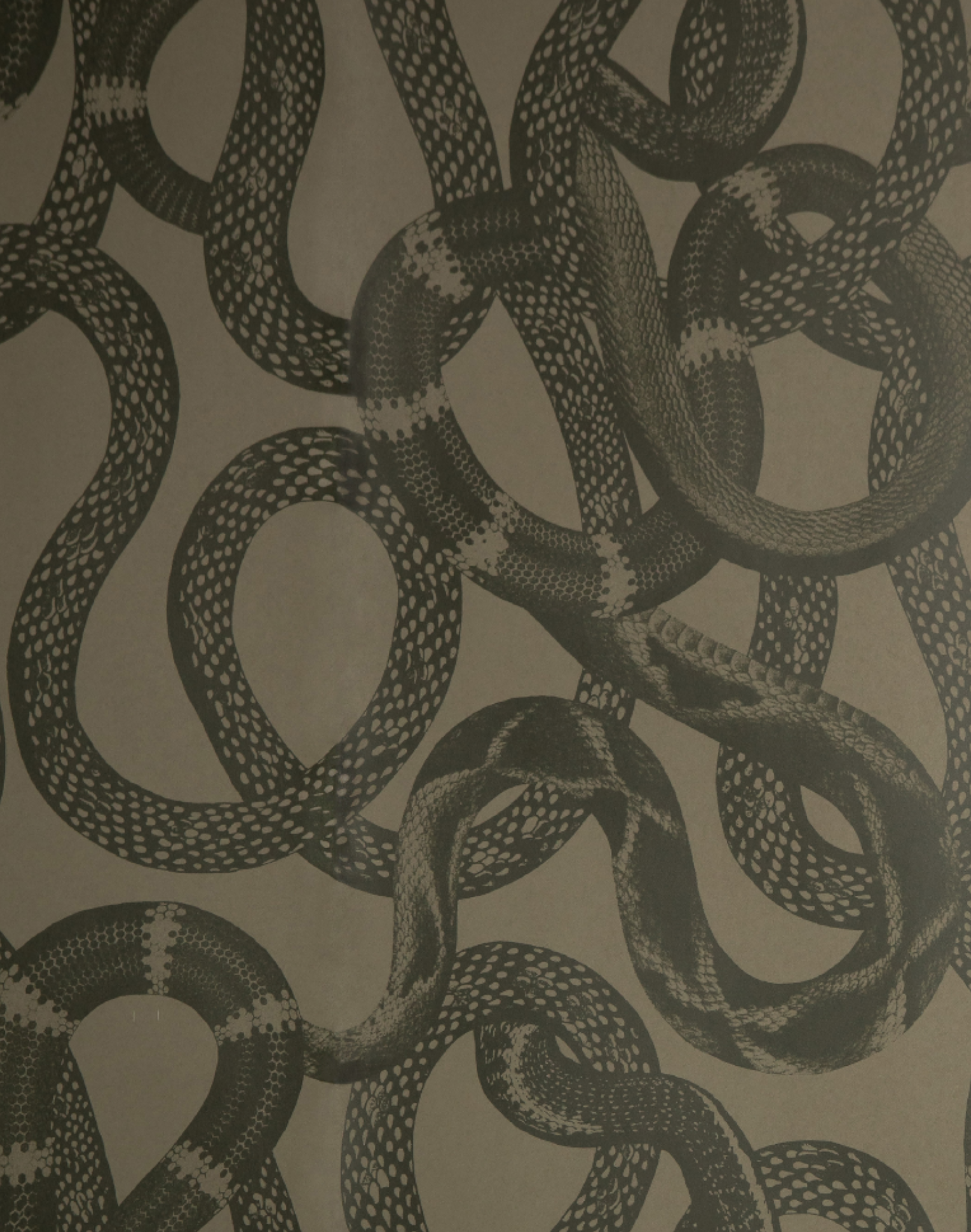 Snake Peek, Green – The Pattern Collective