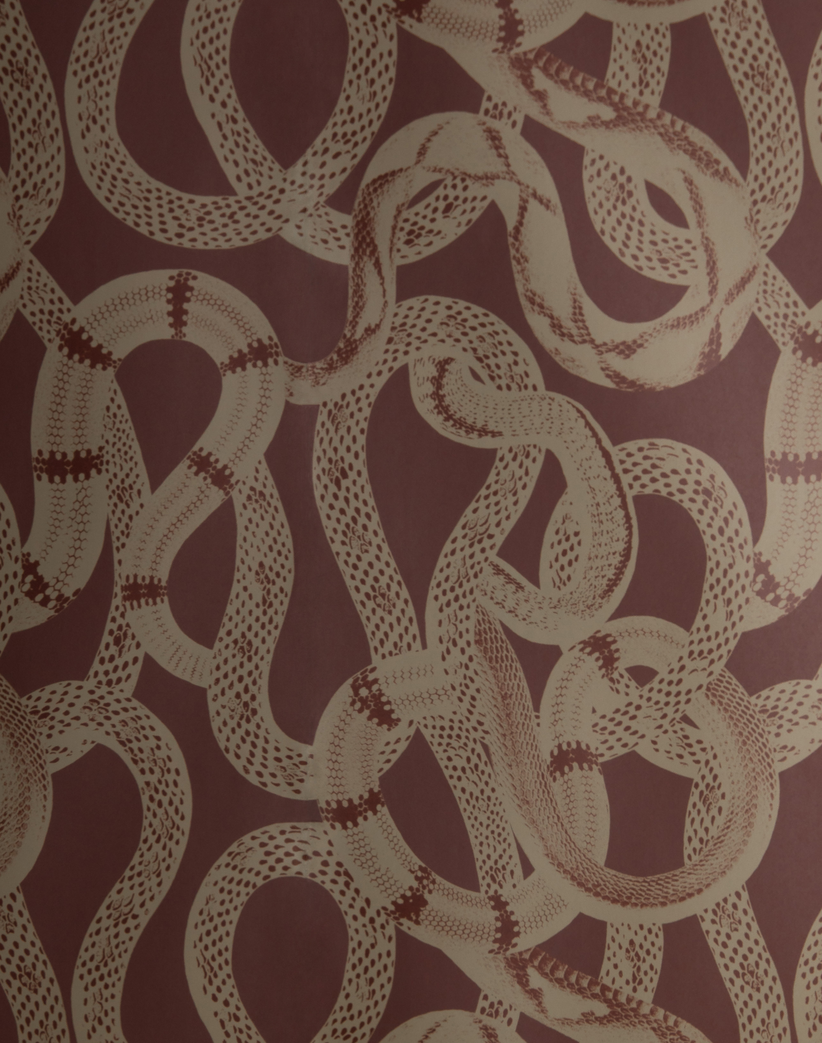 SnakePeekRed_StudioLisaBengtss
