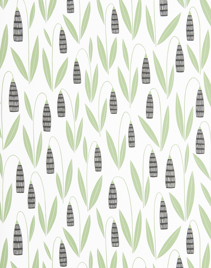 Snowdrops, Forest Shade