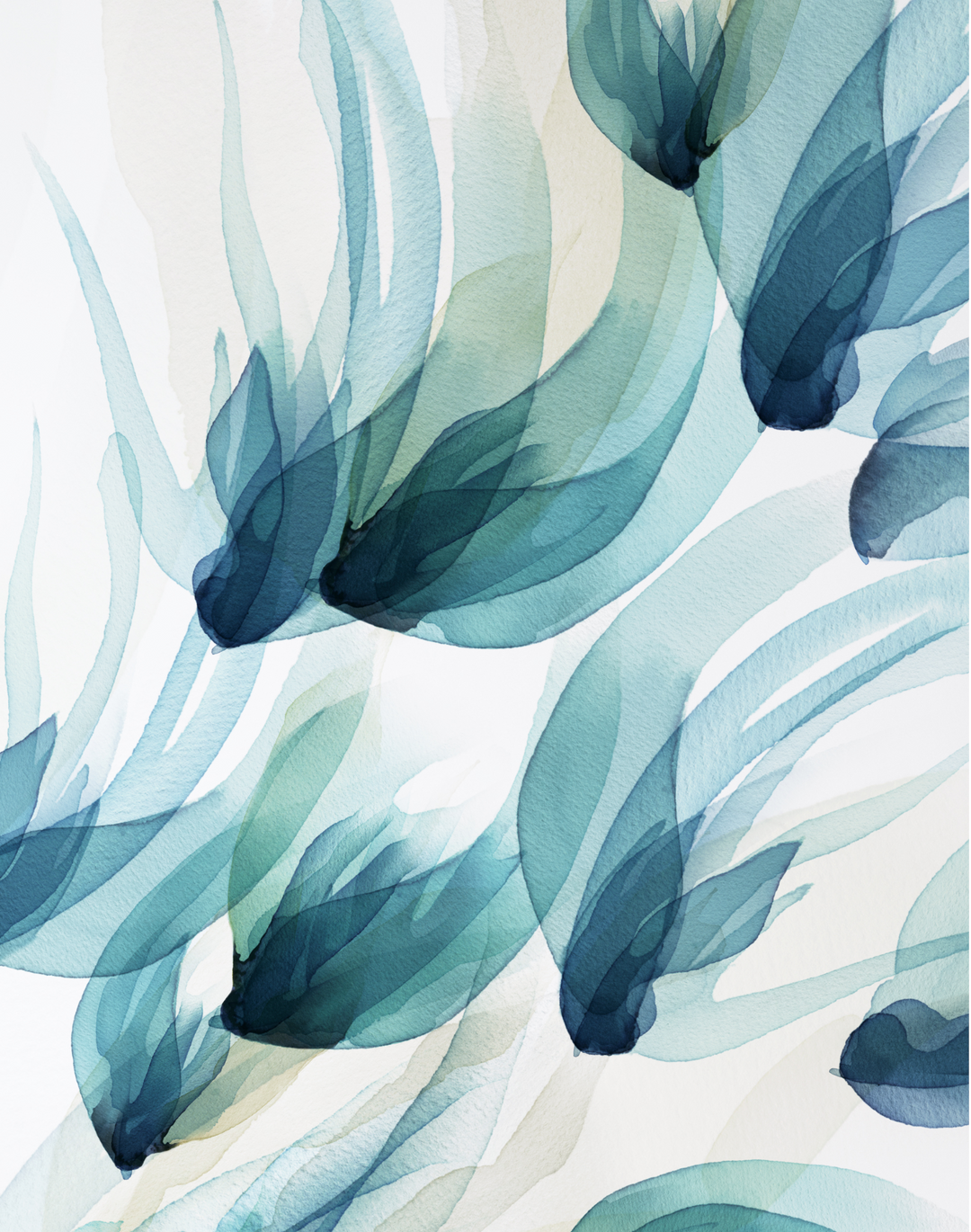 Songbird, Teal