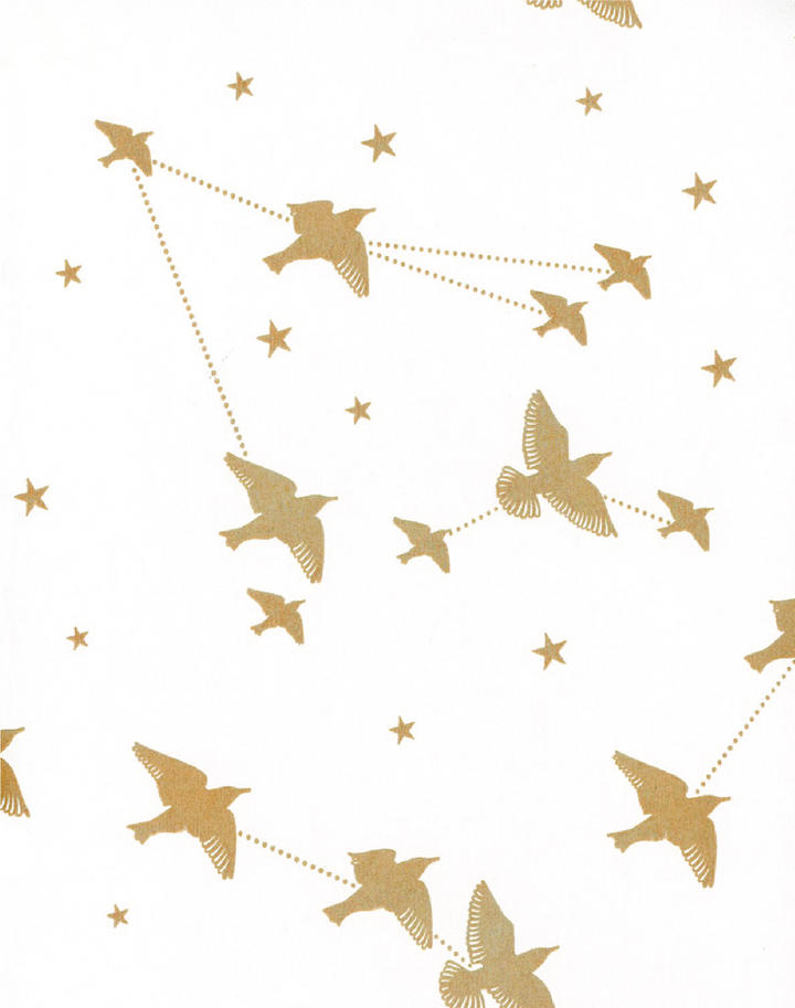Starling, Snow & Gold