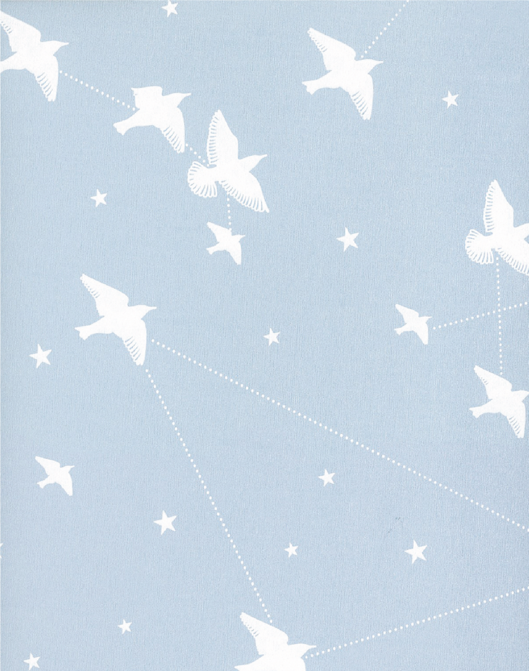 Starling, Powder Blue