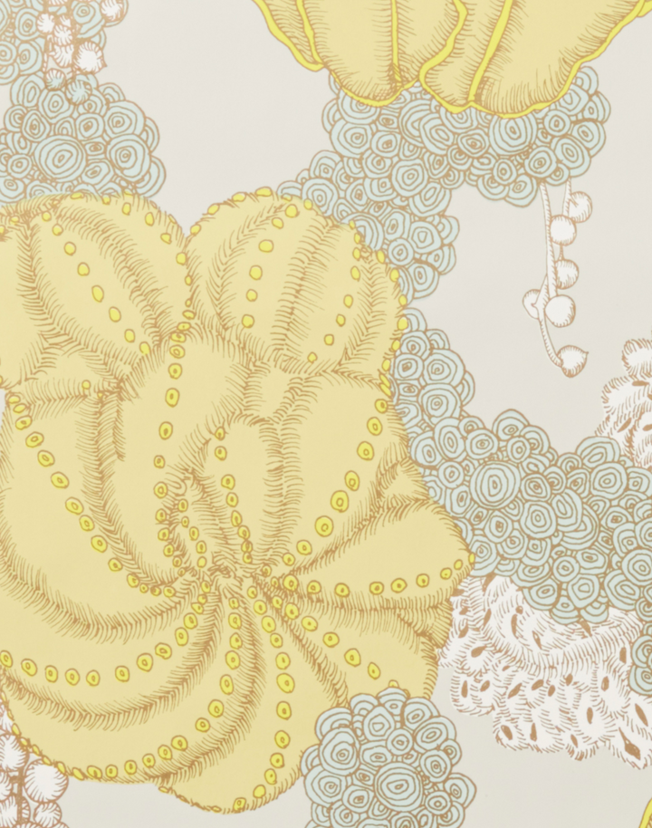 Succulent, Yellow
