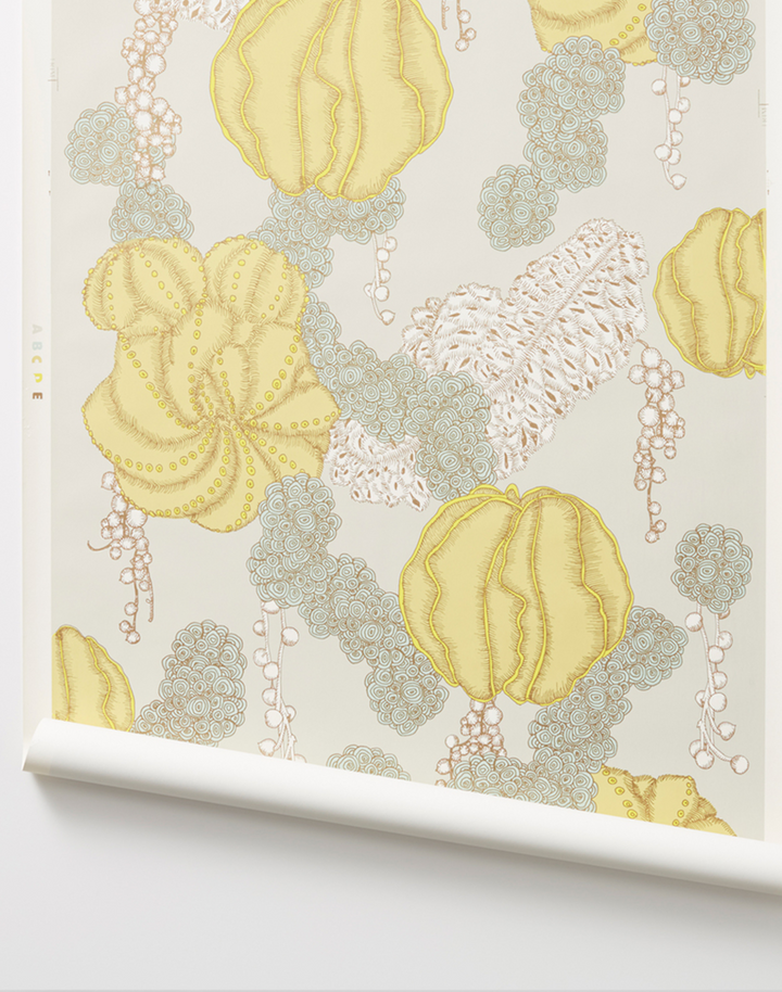 Succulent, Yellow