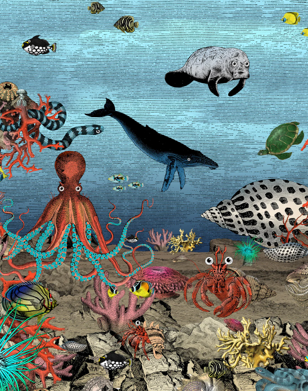 The Great Barrier Reef Wall Mural