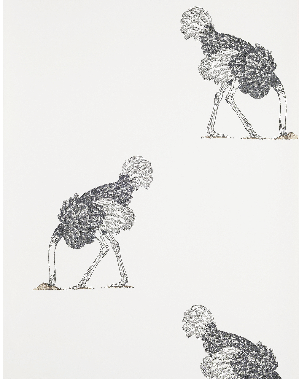 Ostrich Small, Pencil on Bone