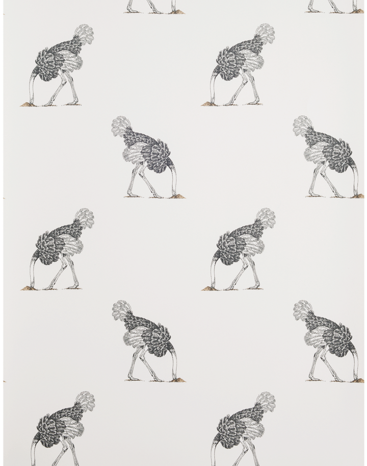 Ostrich Small, Pencil on Bone