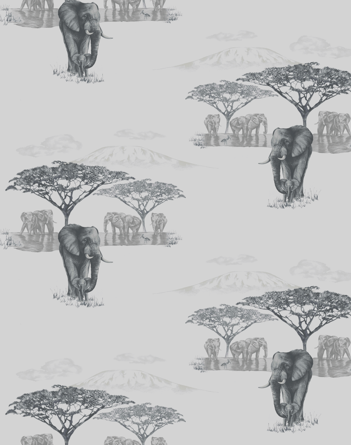 The Waterhole, JTWH02