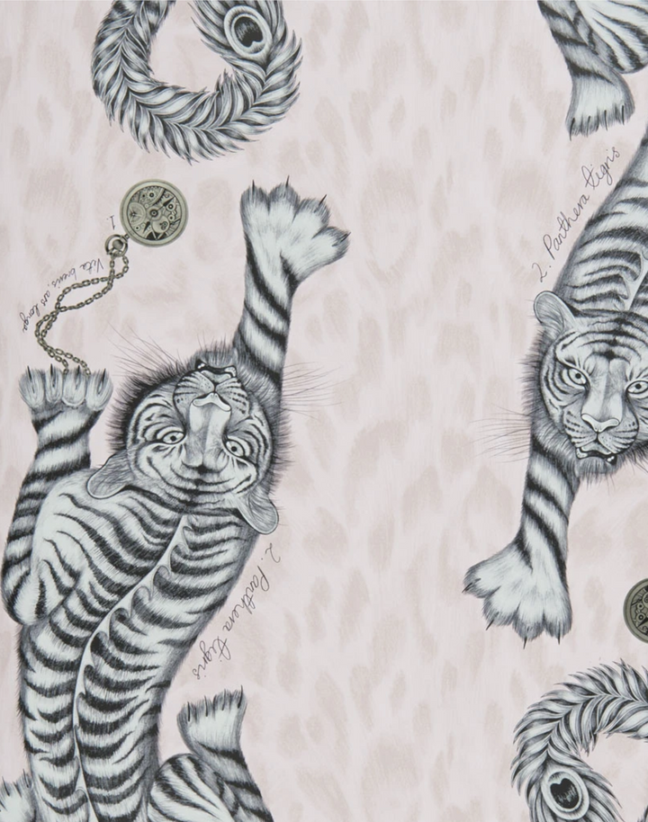 Tigris, Pink W0105-04