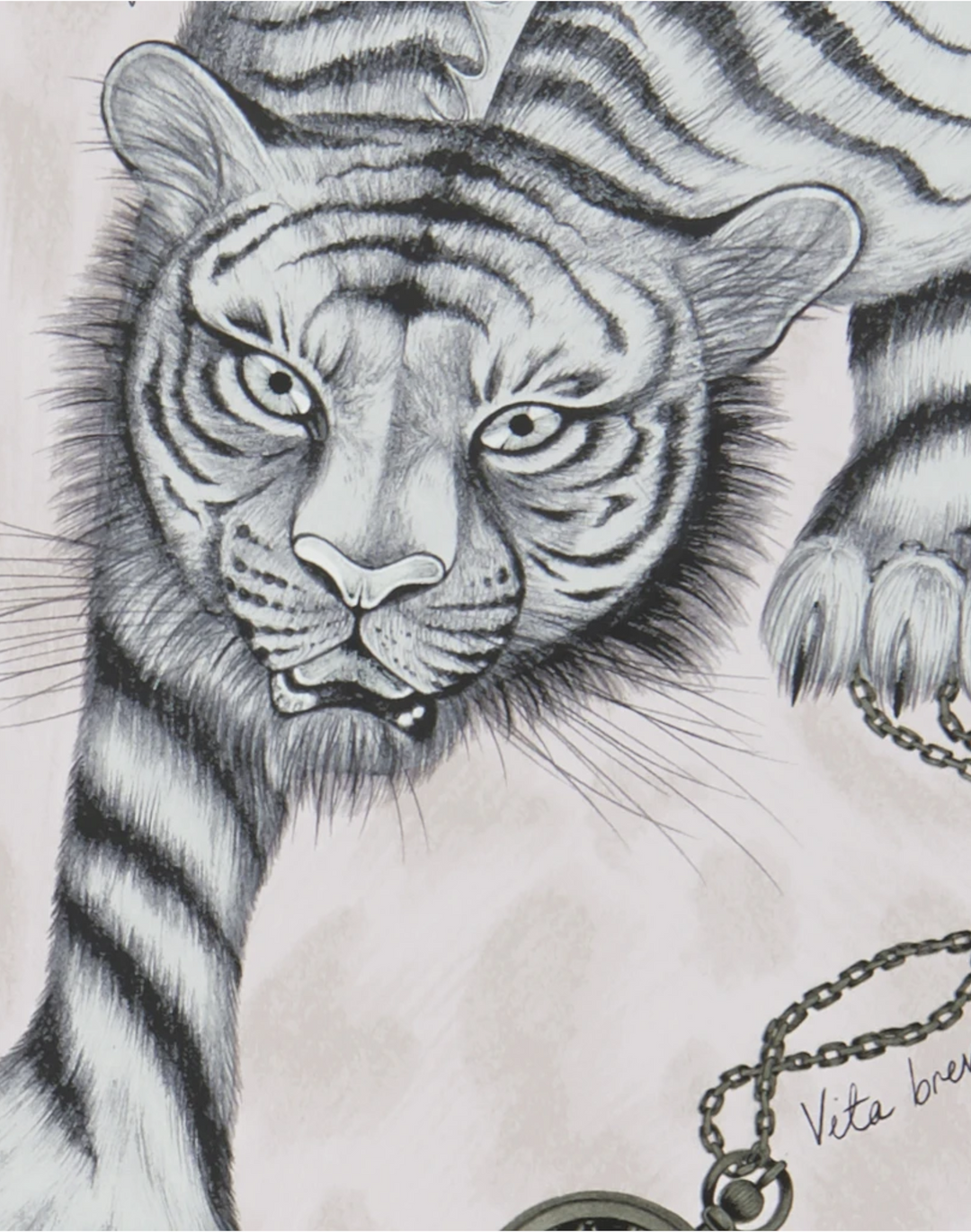 Tigris, Pink W0105-04