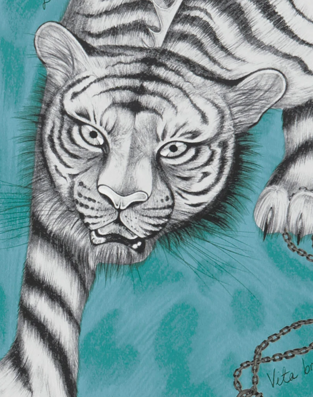 Tigris, Teal W0105-05