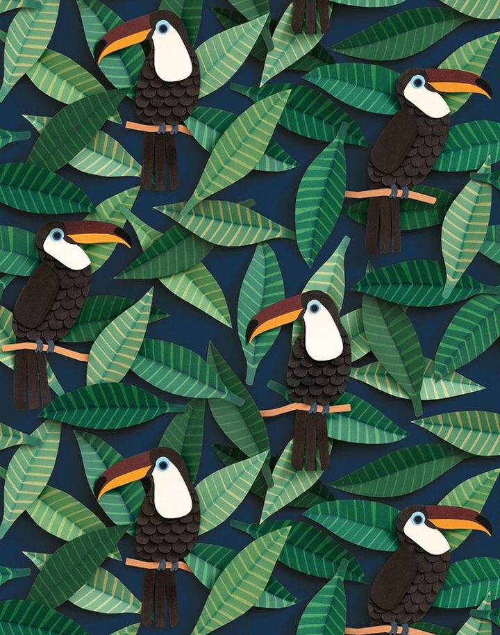 Toucan