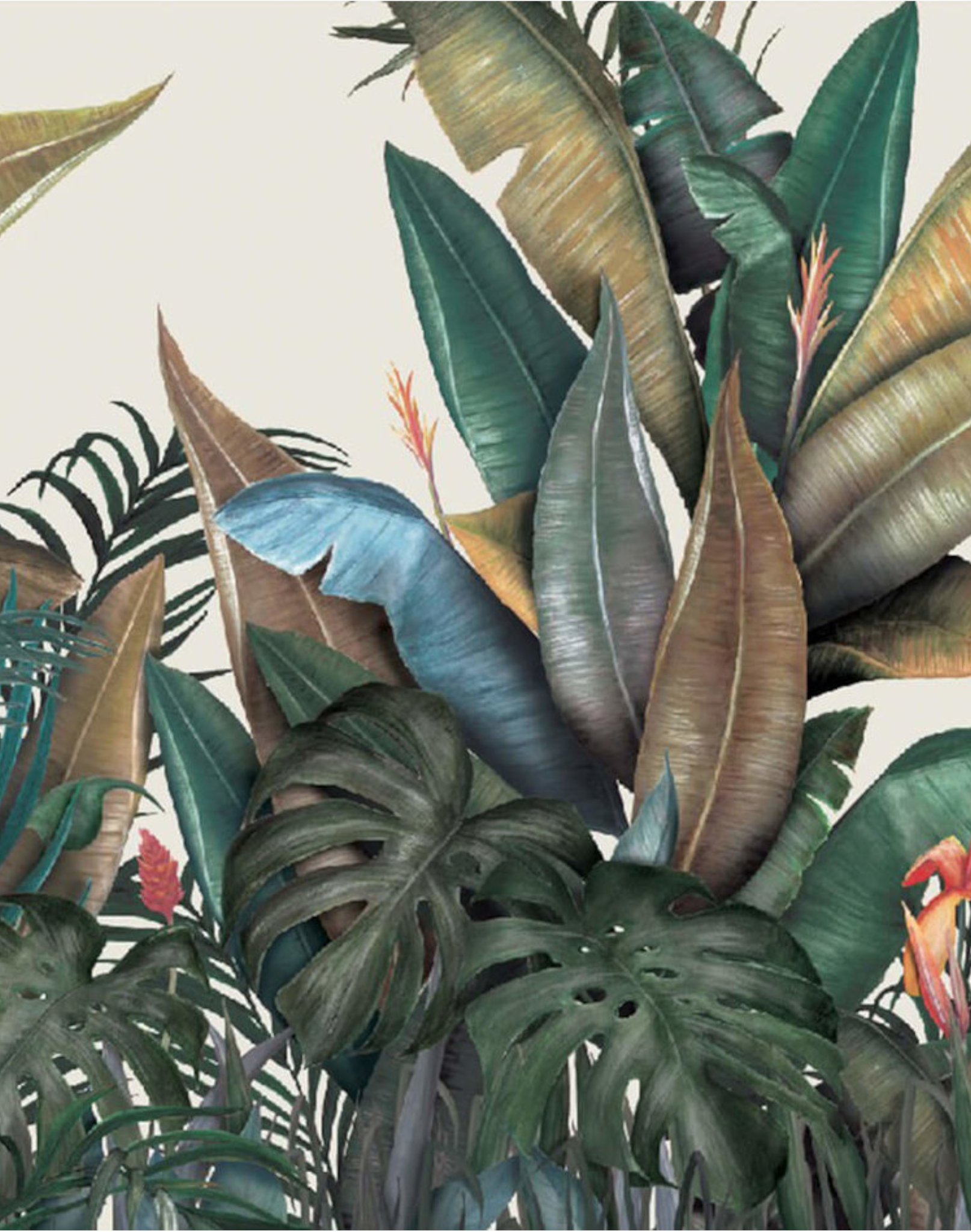 Tropical WPLC0186 Vinyl – The Pattern Collective