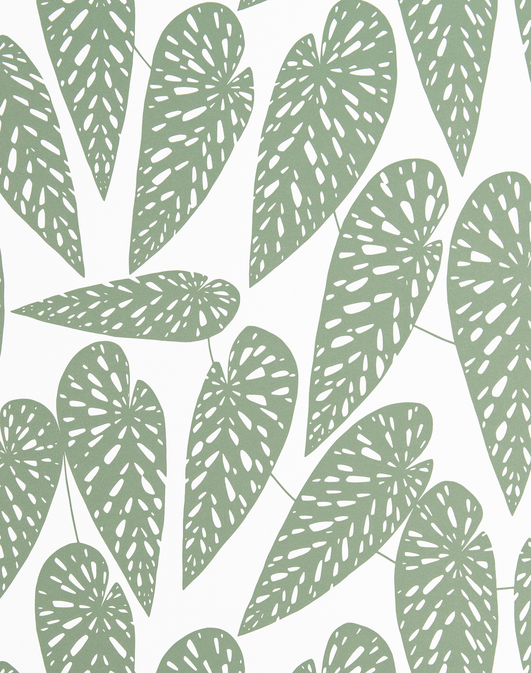 Tropics, Foliage