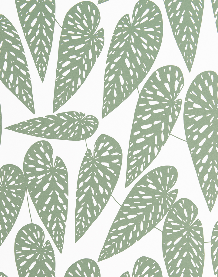 Tropics, Foliage
