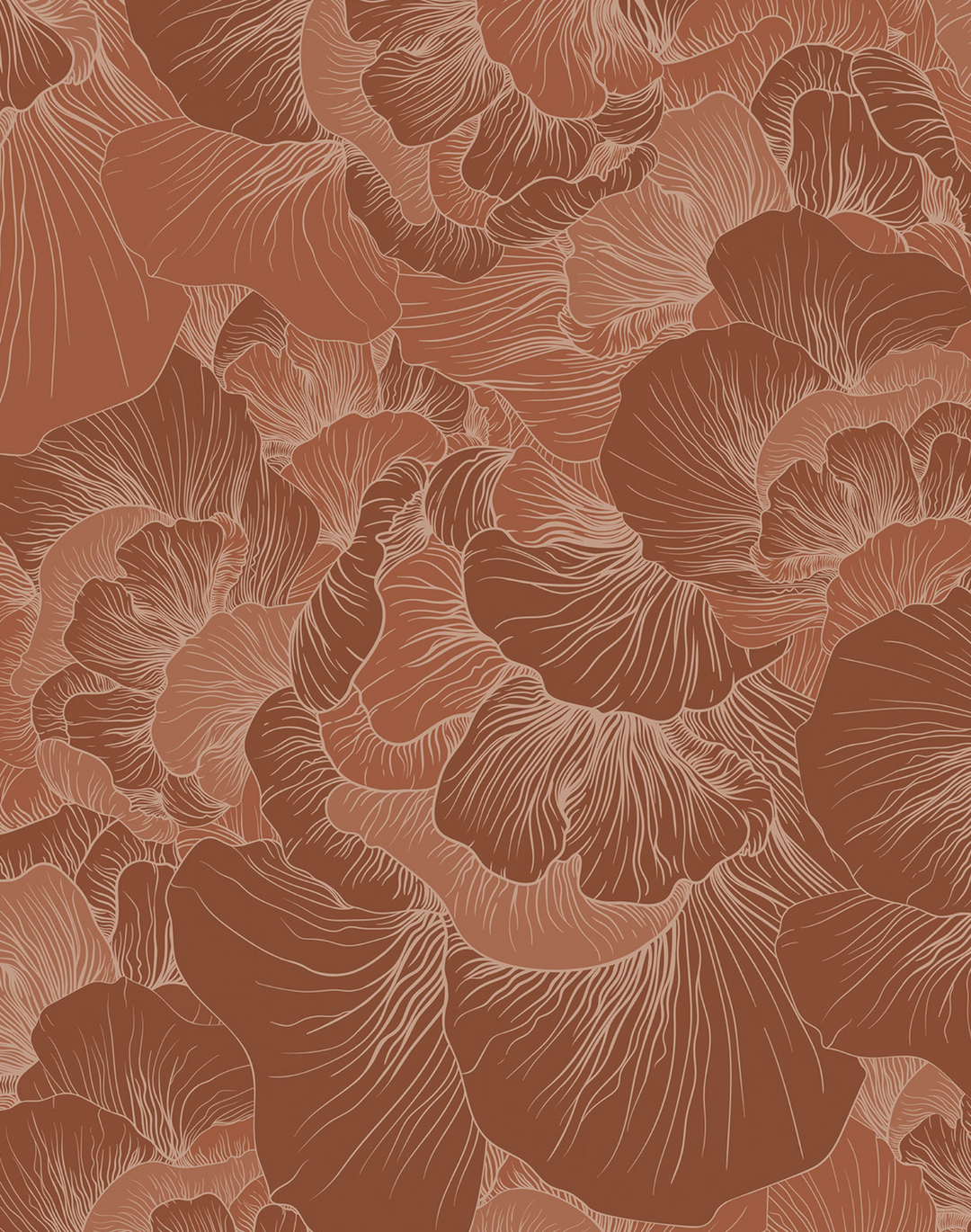 Venation, Terracotta