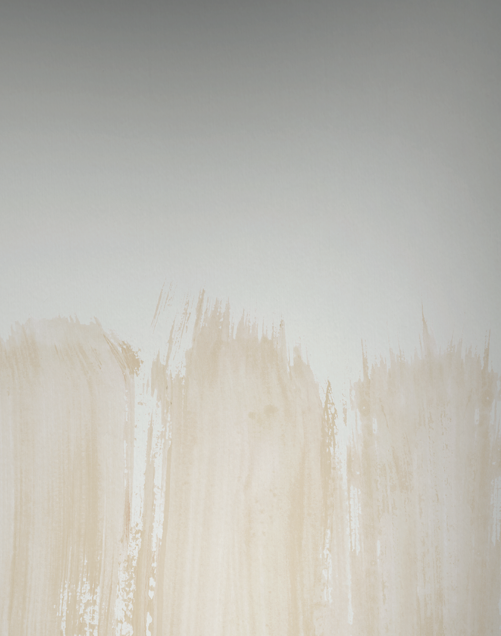vigor wallpaper