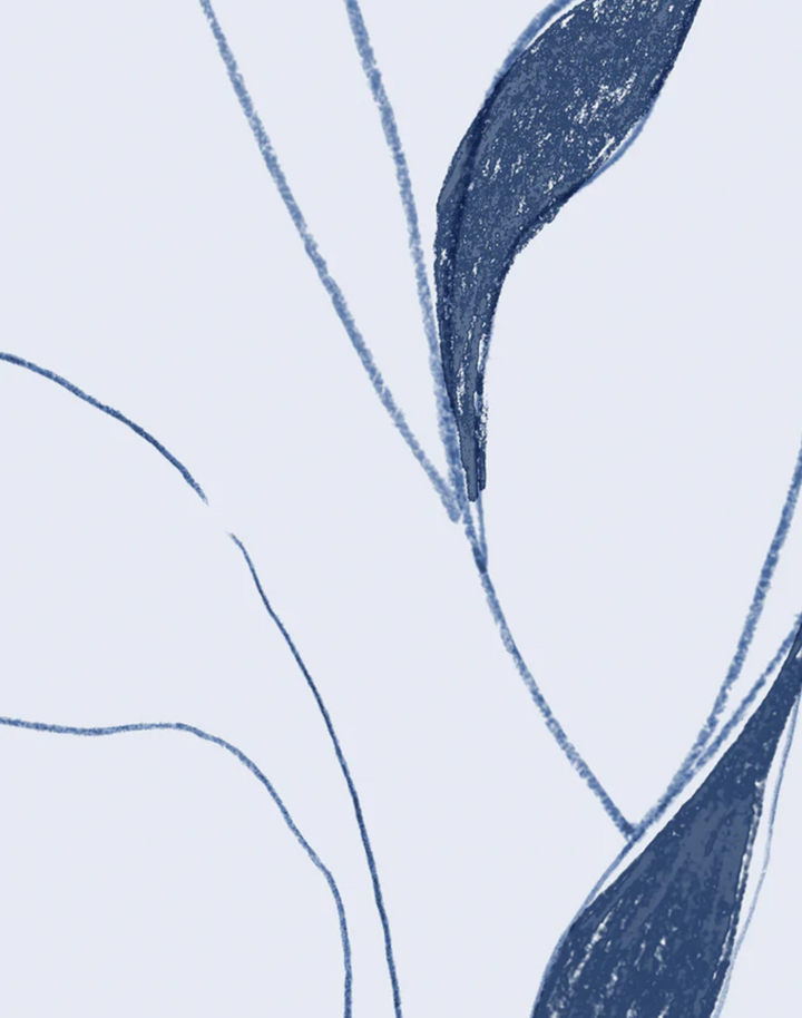 Vine, Blueprint