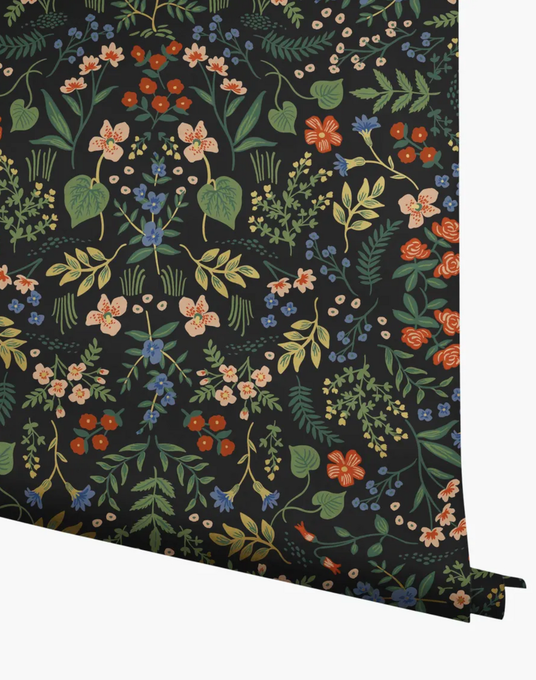 Wildwood, Black Multi RI5158