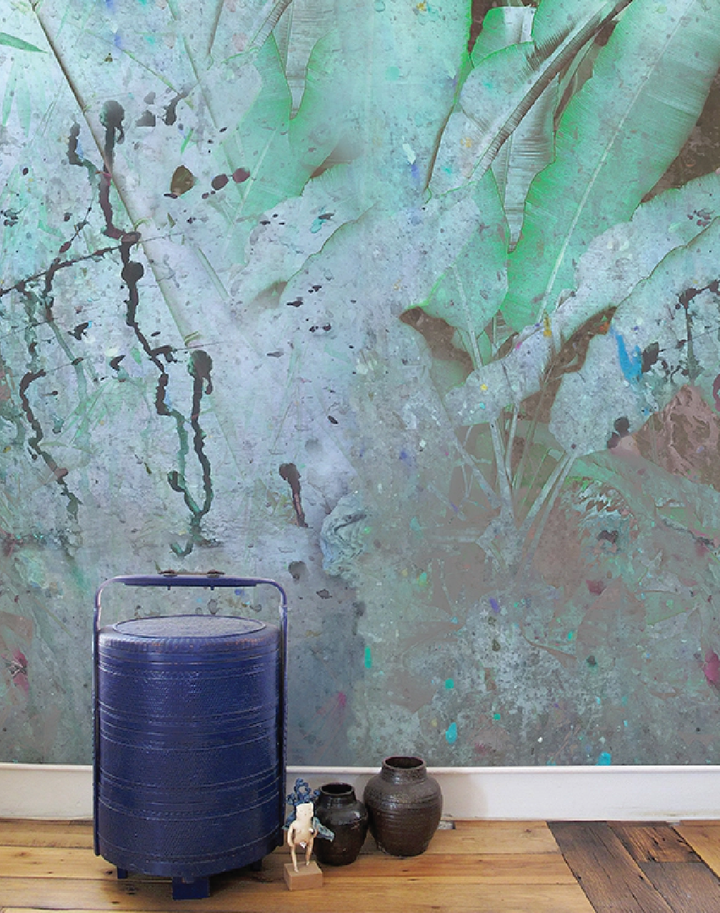 Wise Pond - A Frog Jumps PM164-01