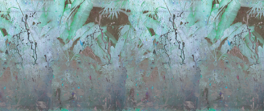 Wise Pond - A Frog Jumps PM164-01