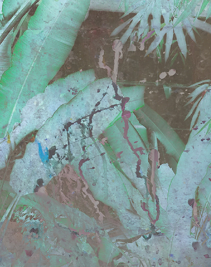 Wise Pond - A Frog Jumps PM164-01