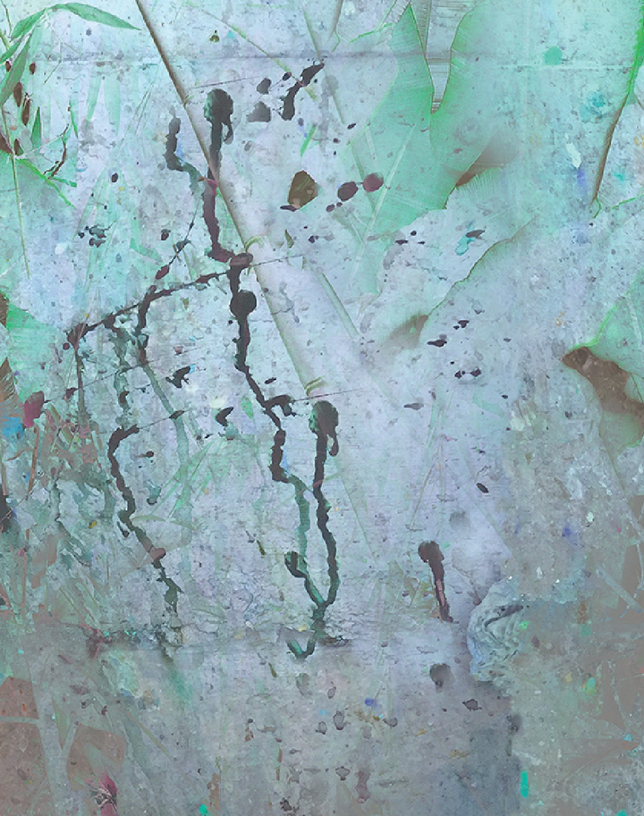 Wise Pond - A Frog Jumps PM164-01