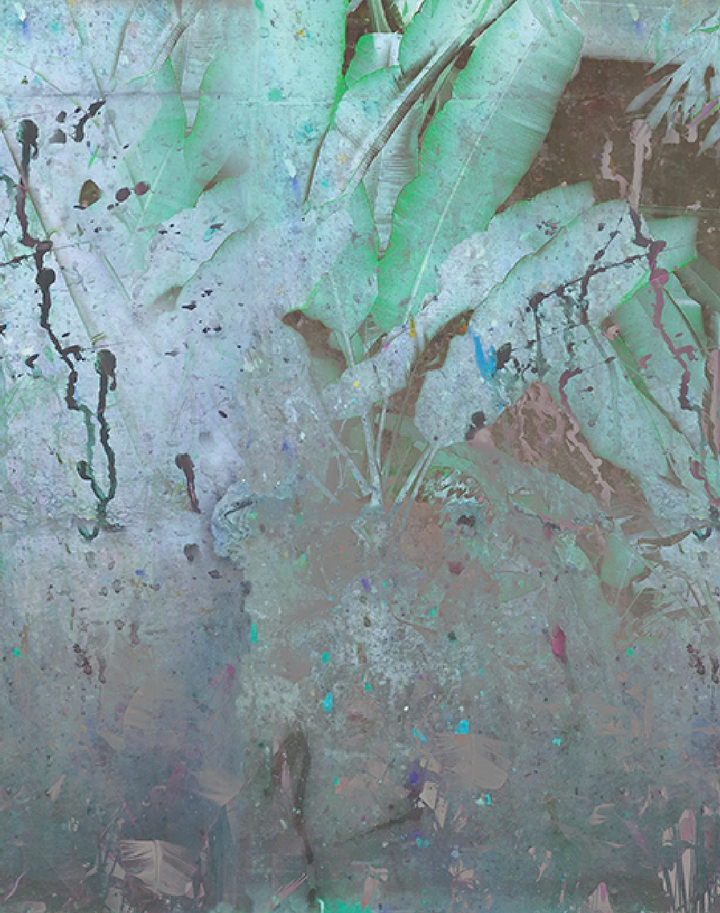 Wise Pond - A Frog Jumps PM164-01