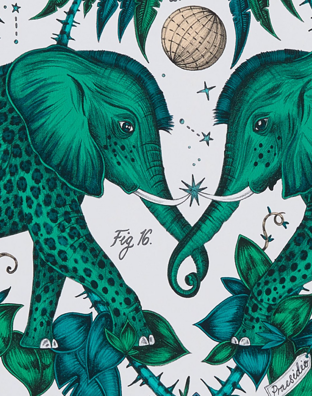 Zambezi, Green W0121-03