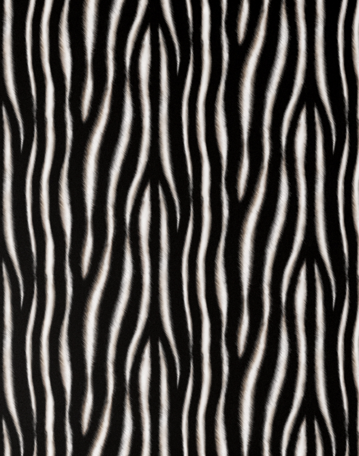 Zebra Print