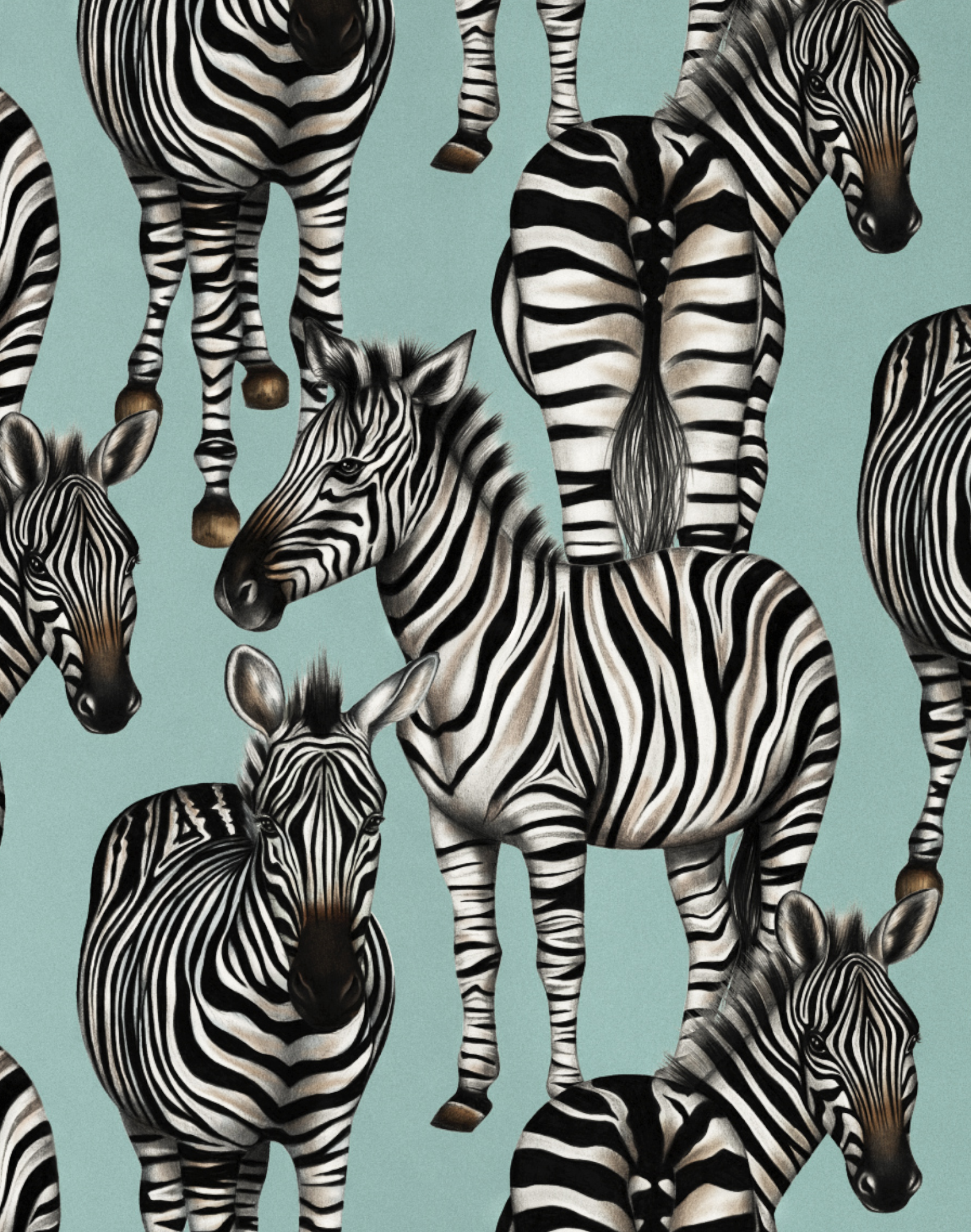 – Zebras The Pattern Collective