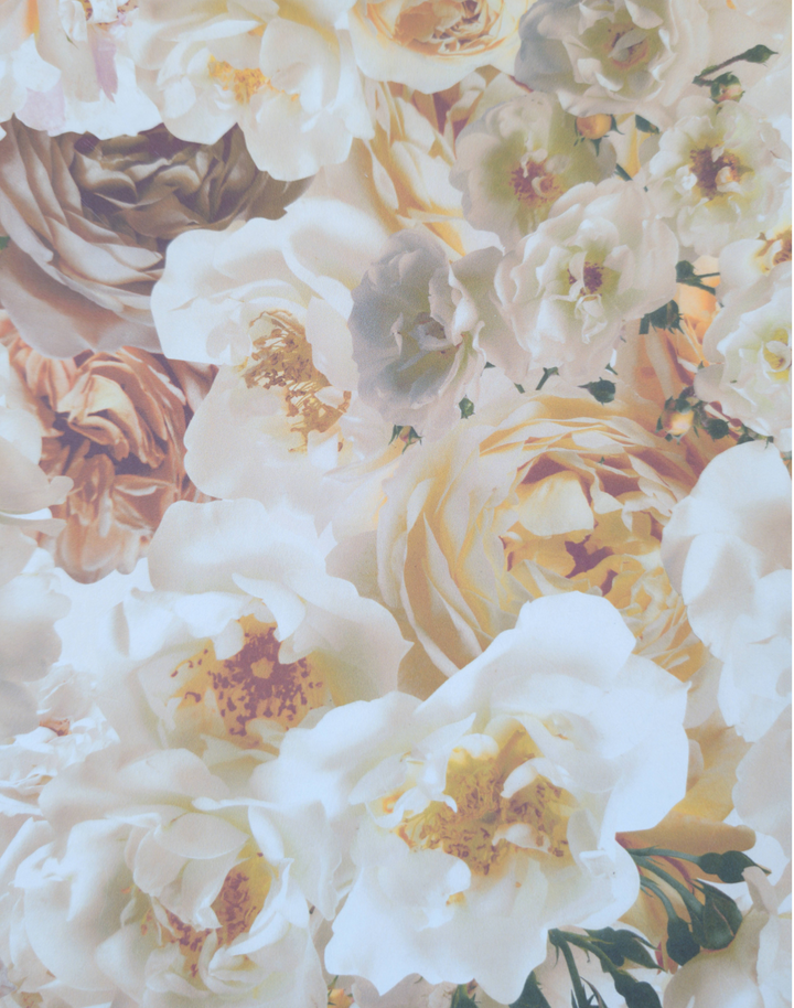 Antique Rose