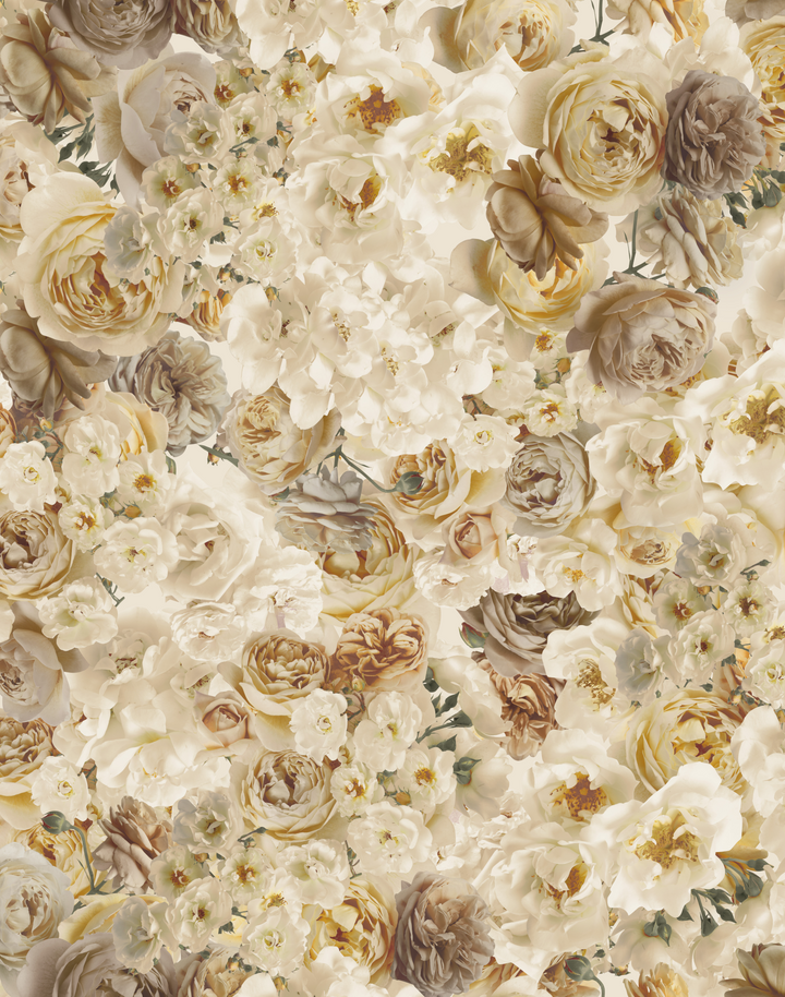 Antique Rose