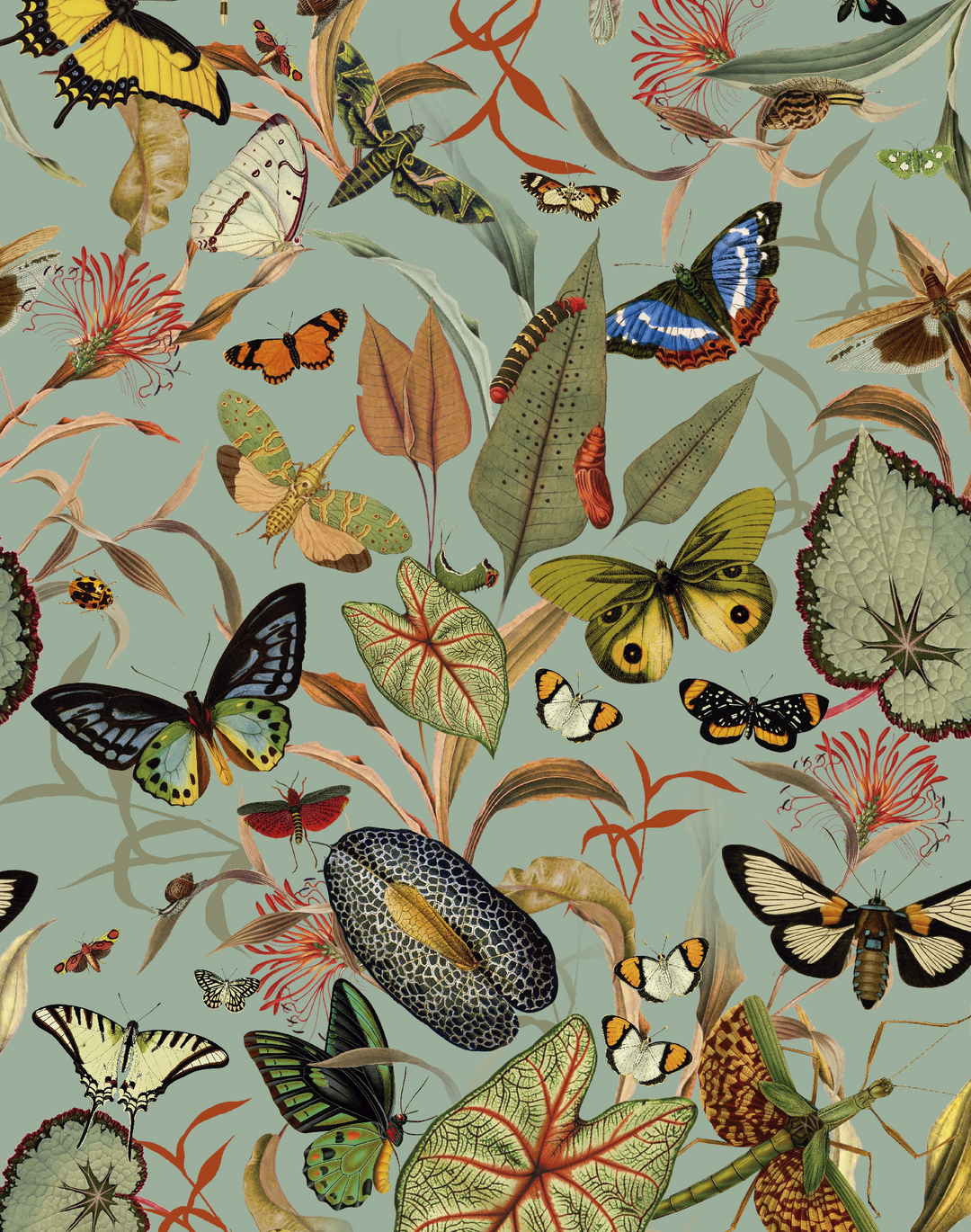 Aqua Butterfly Wallfabric