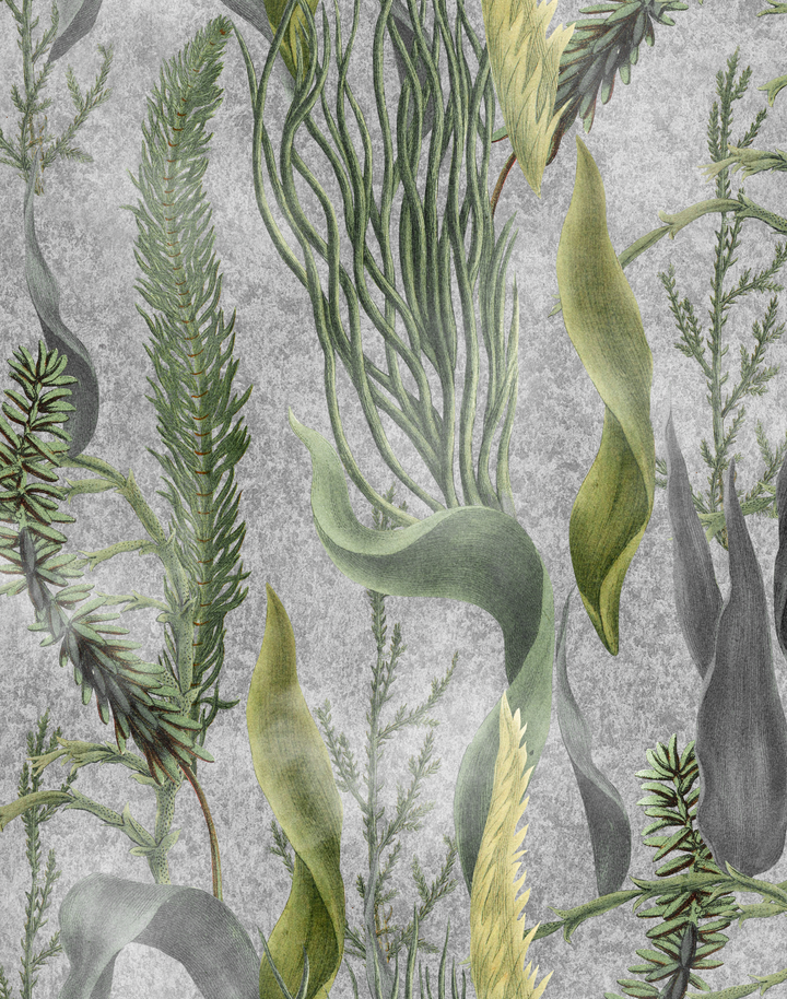 Aquatic Plants, Grey